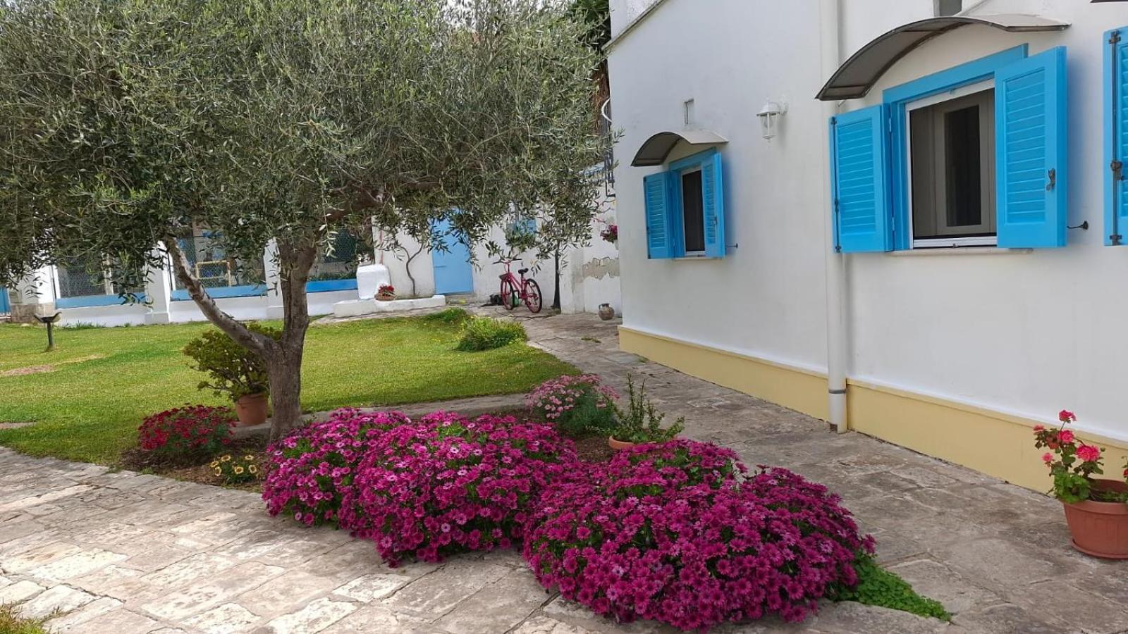 Bed and Breakfast Villino Tronchetto Bianco Мола-ди-Бари Экстерьер фото